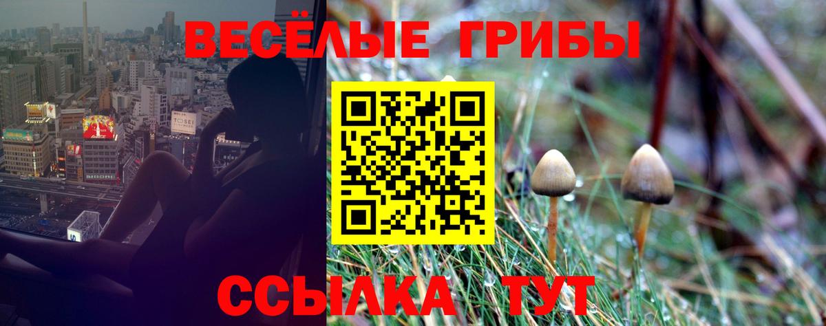 Псилоцибиновые грибы ЛСД Королёв