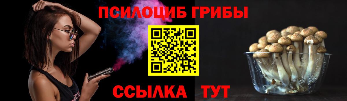 Галлюциногенные грибы Psilocybine cubensis  Вход с VPN  Королёв 